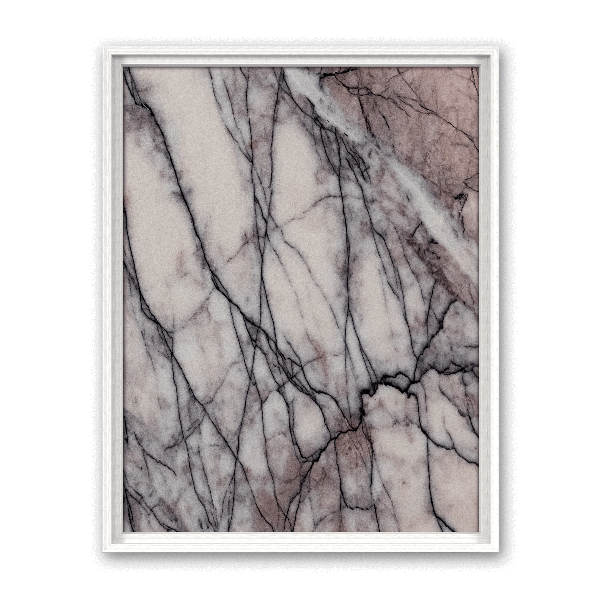 Lilium Classic