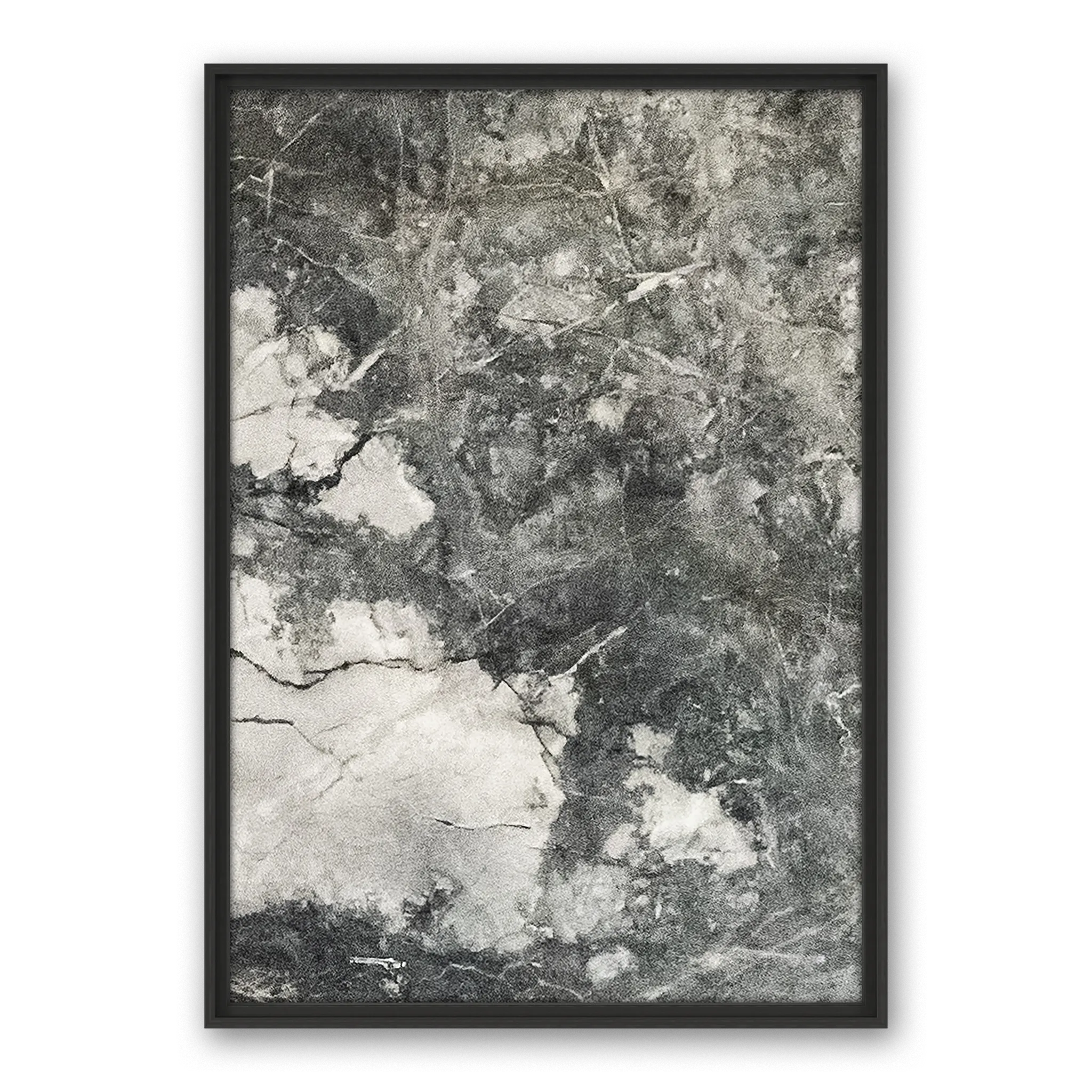 Fuligo Tabula