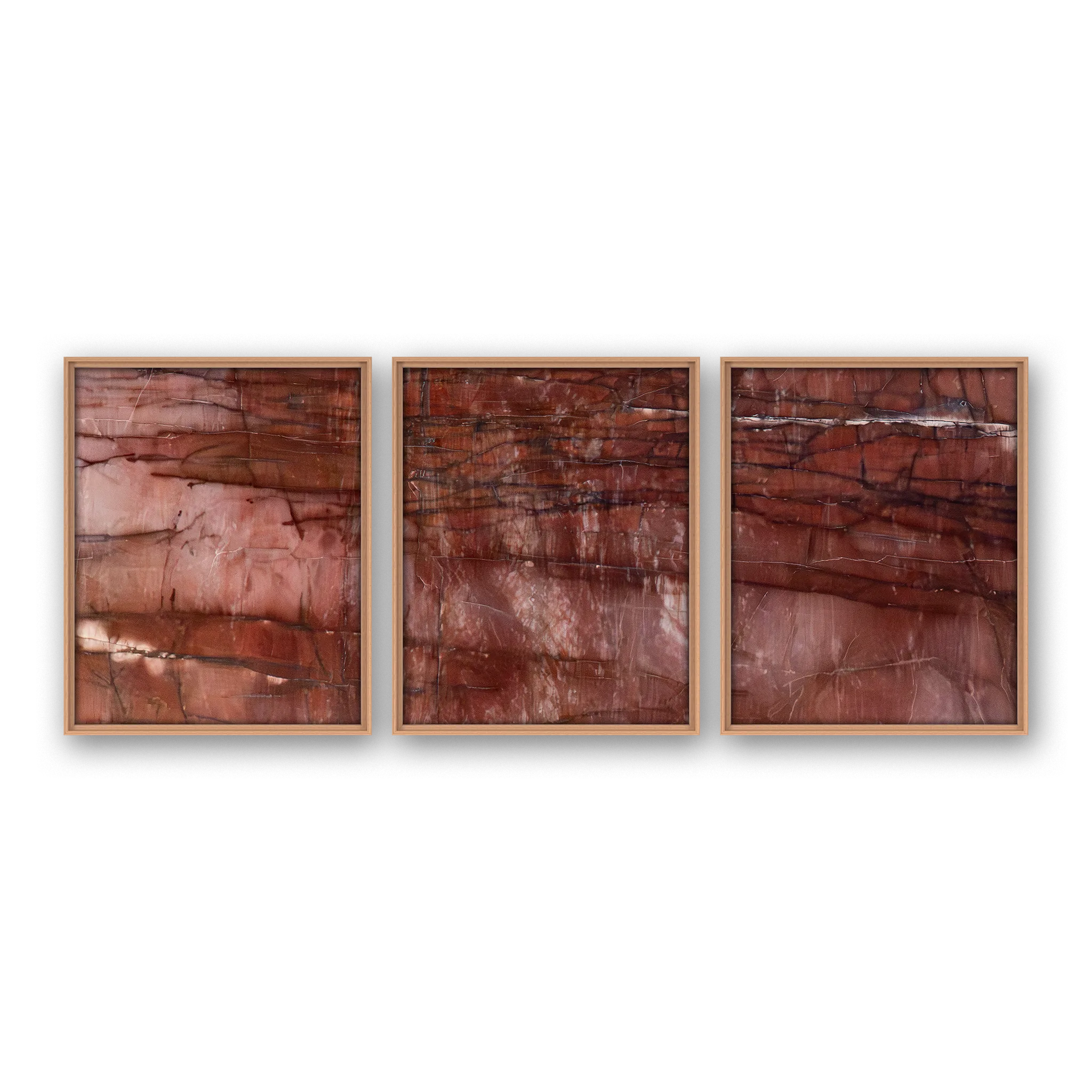 Colligatio Cedar Mesa