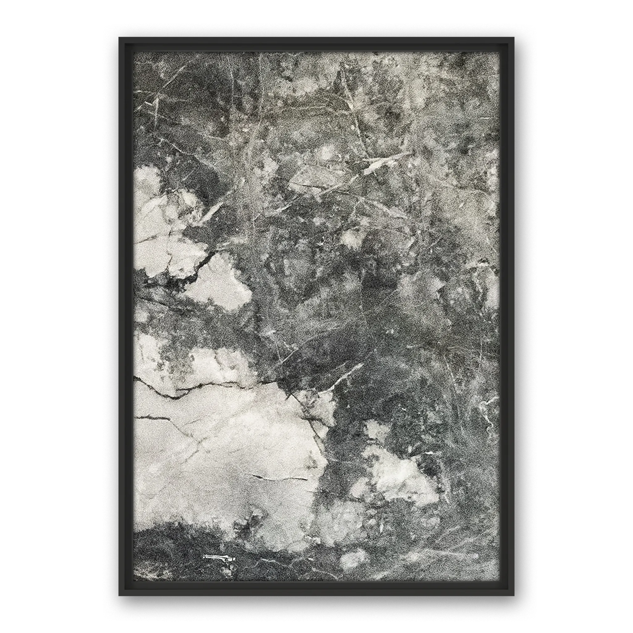 Fuligo Tabula