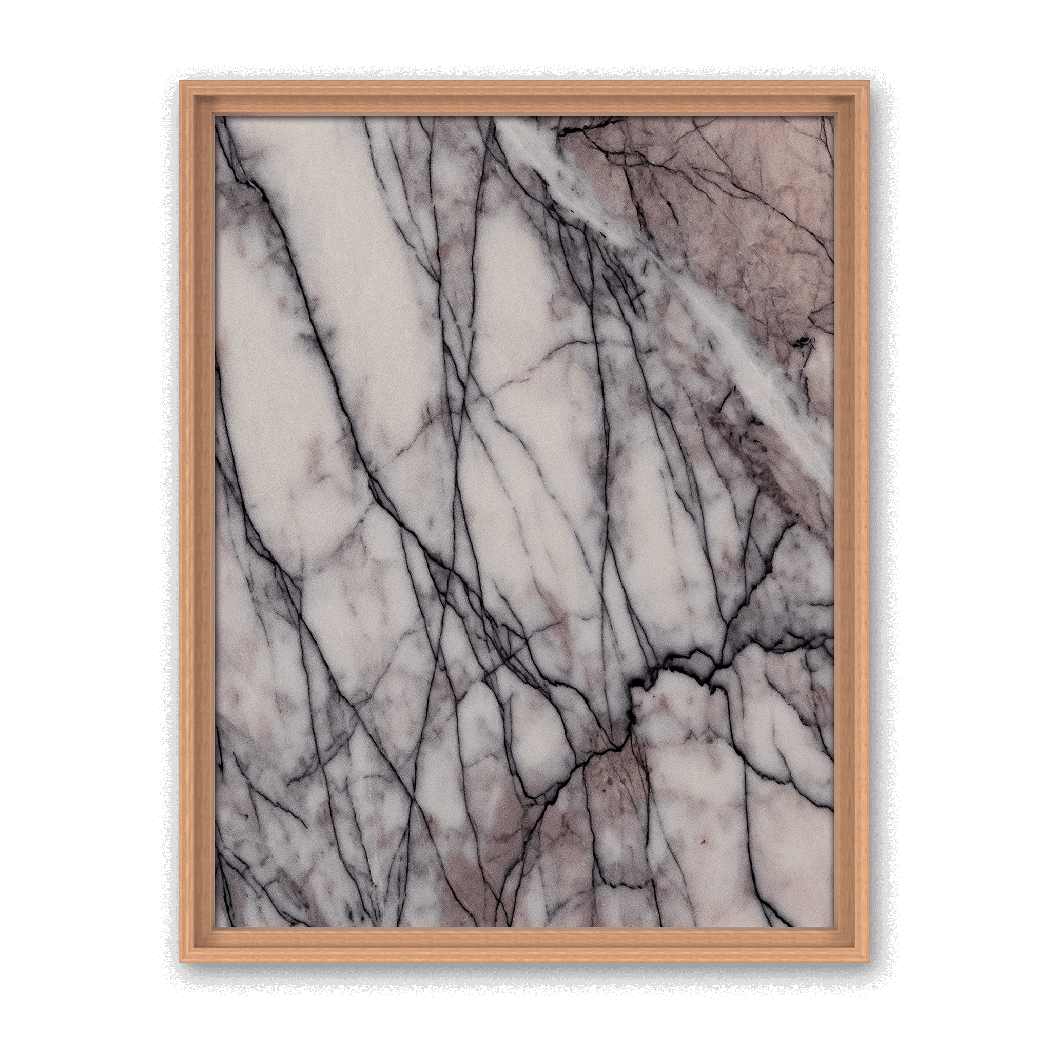 Lilium Classic