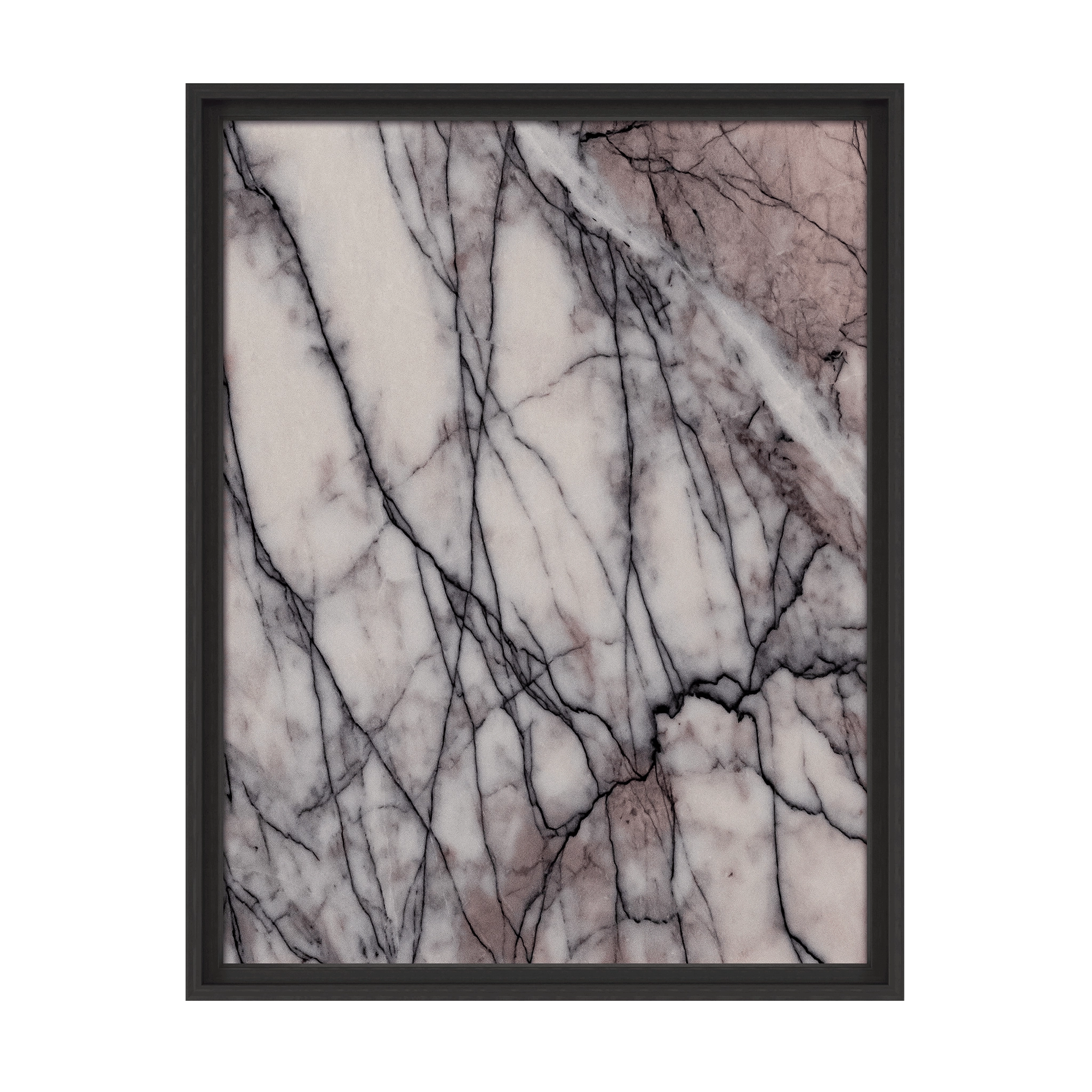 Lilium Classic
